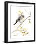 Bushtit-Suren Nersisyan-Framed Art Print