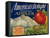 Business Americana Food; Fruit Crate Labels, Columbia Basin Orchards-null-Framed Stretched Canvas