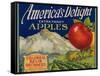 Business Americana Food; Fruit Crate Labels, Columbia Basin Orchards-null-Framed Stretched Canvas