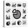 Business Chart Icons-bioraven-Stretched Canvas