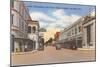 Business District, Ft. Myers, Florida-null-Mounted Art Print