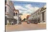 Business District, Ft. Myers, Florida-null-Stretched Canvas