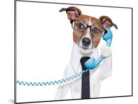 Business Dog On The Phone-Javier Brosch-Mounted Photographic Print