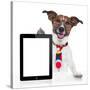 Business Dog Tablet Pc Ebook-Javier Brosch-Stretched Canvas