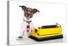 Business Dog Typewriter-Javier Brosch-Stretched Canvas