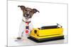 Business Dog Typewriter-Javier Brosch-Mounted Photographic Print