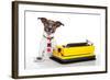 Business Dog Typewriter-Javier Brosch-Framed Photographic Print