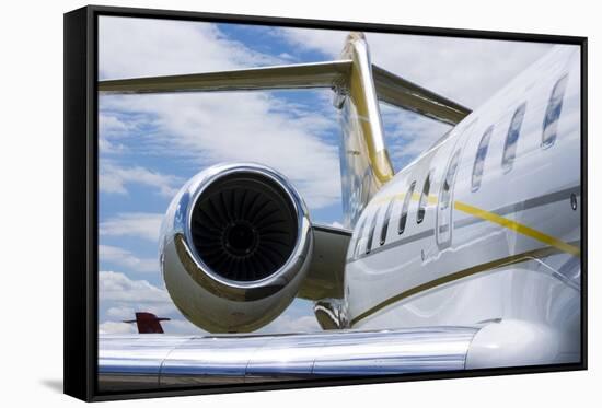 Business Jet-Mark Williamson-Framed Stretched Canvas