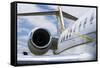 Business Jet-Mark Williamson-Framed Stretched Canvas