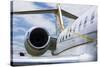 Business Jet-Mark Williamson-Stretched Canvas