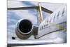 Business Jet-Mark Williamson-Mounted Photographic Print