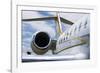 Business Jet-Mark Williamson-Framed Photographic Print