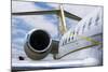 Business Jet-Mark Williamson-Mounted Photographic Print