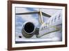 Business Jet-Mark Williamson-Framed Photographic Print