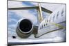 Business Jet-Mark Williamson-Mounted Photographic Print