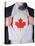 Business Man With Canadian Flag T-Shirt-IJdema-Stretched Canvas