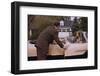 Businessman Dropping off Carpooler-William P. Gottlieb-Framed Photographic Print