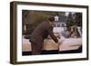 Businessman Dropping off Carpooler-William P^ Gottlieb-Framed Photographic Print