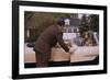 Businessman Dropping off Carpooler-William P. Gottlieb-Framed Photographic Print