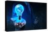 Businessman Hand Shows Light Bulb with Planet Earth Social Network-everythingpossible-Stretched Canvas