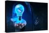 Businessman Hand Shows Light Bulb with Planet Earth Social Network-everythingpossible-Stretched Canvas