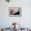 Businessman Holding Red Envelopes and Coworkers Hanging Decorations for Chinese New Year-XiXinXing-Framed Photographic Print displayed on a wall