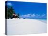 Businessman on Beach, Maldives-Stuart Westmorland-Stretched Canvas