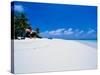 Businessman on Beach, Maldives-Stuart Westmorland-Stretched Canvas