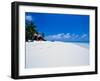 Businessman on Beach, Maldives-Stuart Westmorland-Framed Premium Photographic Print