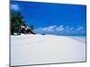 Businessman on Beach, Maldives-Stuart Westmorland-Mounted Premium Photographic Print