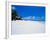 Businessman on Beach, Maldives-Stuart Westmorland-Framed Photographic Print