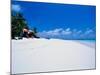 Businessman on Beach, Maldives-Stuart Westmorland-Mounted Photographic Print