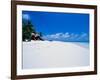 Businessman on Beach, Maldives-Stuart Westmorland-Framed Photographic Print