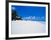 Businessman on Beach, Maldives-Stuart Westmorland-Framed Photographic Print