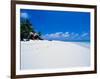 Businessman on Beach, Maldives-Stuart Westmorland-Framed Photographic Print