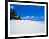 Businessman on Beach, Maldives-Stuart Westmorland-Framed Photographic Print