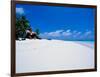 Businessman on Beach, Maldives-Stuart Westmorland-Framed Photographic Print