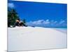 Businessman on Beach, Maldives-Stuart Westmorland-Mounted Photographic Print