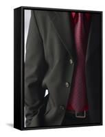 Businessman Wearing Red Shirt and Tie Under Black Suit-null-Framed Stretched Canvas