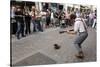 Busker Entertaining the Crowds, Galway, County Galway, Connacht, Republic of Ireland-Gary Cook-Stretched Canvas