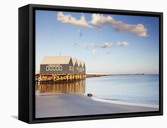 Busselton Pier at Dawn, Western Australia, Australia-Ian Trower-Framed Stretched Canvas