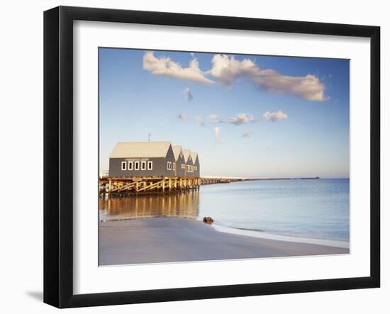 Busselton Pier at Dawn, Western Australia, Australia-Ian Trower-Framed Photographic Print