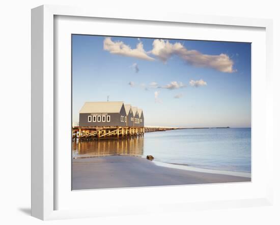 Busselton Pier at Dawn, Western Australia, Australia-Ian Trower-Framed Photographic Print