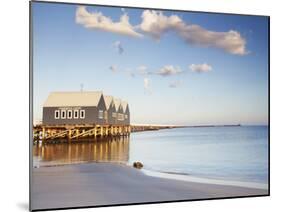 Busselton Pier at Dawn, Western Australia, Australia-Ian Trower-Mounted Photographic Print