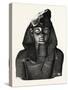 Bust, from the Ramesseum, Egypt, 1879-null-Stretched Canvas