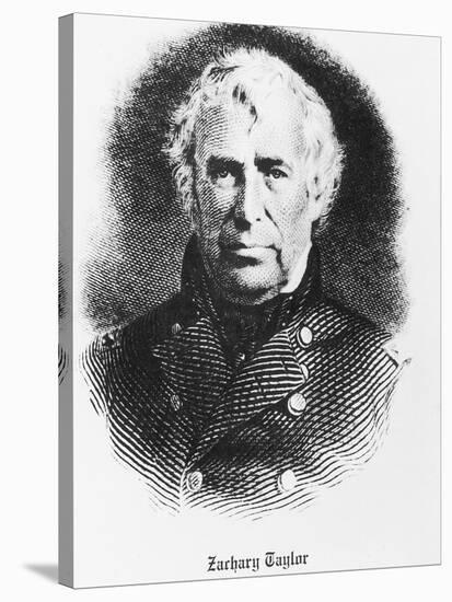 Bust Illustration of Zachary Taylor-null-Stretched Canvas