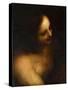 Bust-Length Female Nude-null-Stretched Canvas