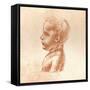 Bust of a Boy, C1472-C1519 (1883)-Leonardo da Vinci-Framed Stretched Canvas