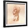 Bust of a Boy, C1472-C1519 (1883)-Leonardo da Vinci-Framed Giclee Print