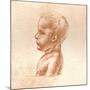 Bust of a Boy, C1472-C1519 (1883)-Leonardo da Vinci-Mounted Giclee Print
